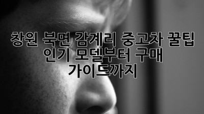 창원 북면 감계리 중고차 꿀팁🍯 인기 모델부터 구매 가이드까지!