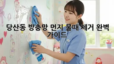 당산동 방충망 먼지, 물때 제거 완벽 가이드!